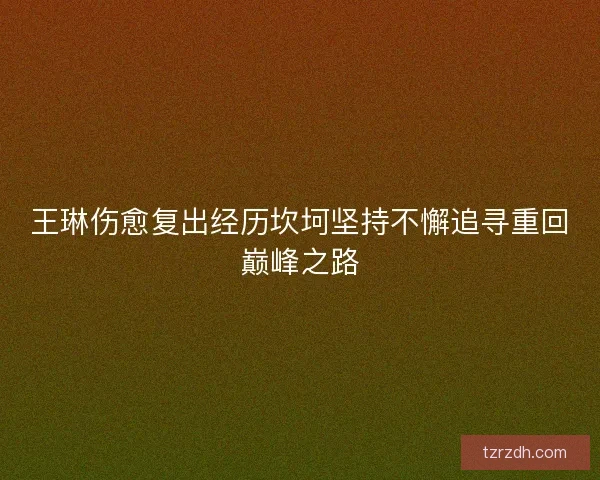 王琳伤愈复出经历坎坷坚持不懈追寻重回巅峰之路