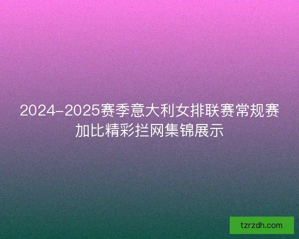 2024-2025赛季意大利女排联赛常规赛加比精彩拦网集锦展示 2024-2025赛季意大利女排联赛常规赛加比精彩拦网集锦展示
