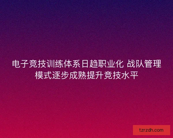 电子竞技训练体系日趋职业化 战队管理模式逐步成熟提升竞技水平 电子竞技训练体系日趋职业化 战队管理模式逐步成熟提升竞技水平