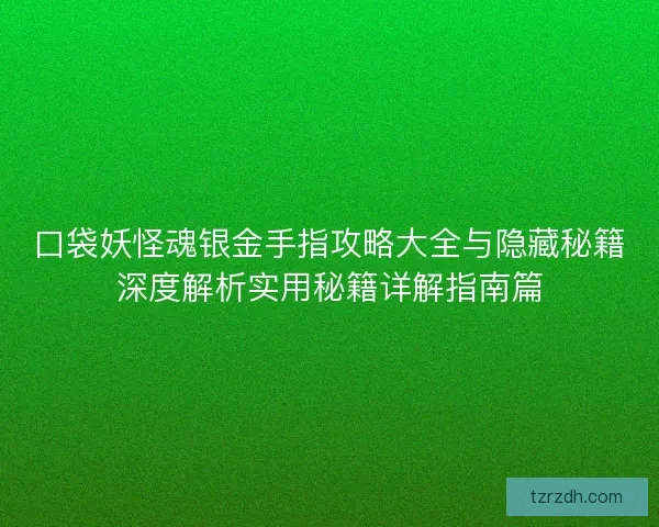 口袋妖怪魂银金手指攻略大全与隐藏秘籍深度解析实用秘籍详解指南篇